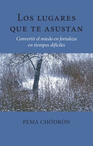 Book cover for Los lugares que te asustan (The Places That Scare You)