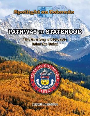 Book cover for Pathway to Statehood