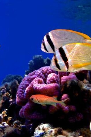 Cover of Jumbo Oversized Tropical Fish and Coral in the Ocean