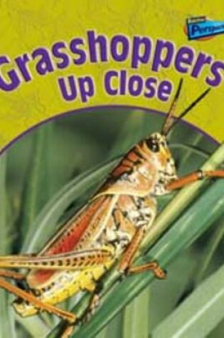 Cover of Grasshoppers Up Close