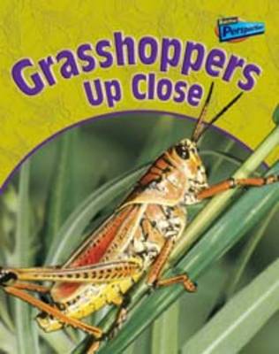 Book cover for Grasshoppers Up Close