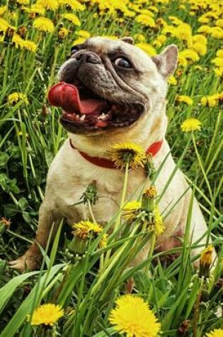 Cover of French Bulldog Sitting in a Field of Dandelions Journal