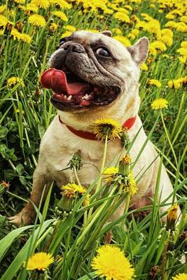 Book cover for French Bulldog Sitting in a Field of Dandelions Journal