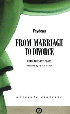 Book cover for From Marriage to Divorce