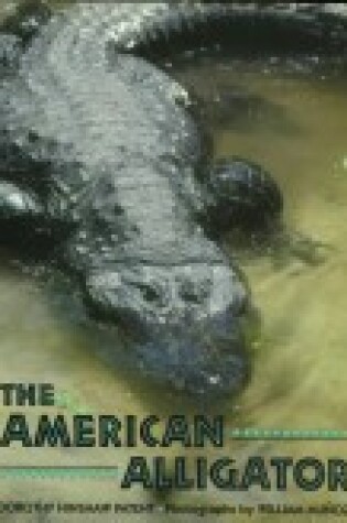 Cover of The American Alligator