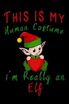 Book cover for this is my human costume im really an elf