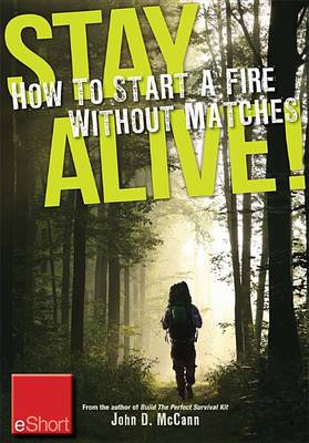 Book cover for Stay Alive - How to Start a Fire Without Matches Eshort