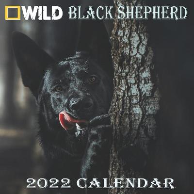 Book cover for Black Shepherd Calendar 2022