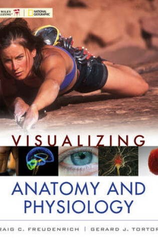 Cover of Visualizing Anatomy and Physiology 1e + WileyPLUS Registration Card