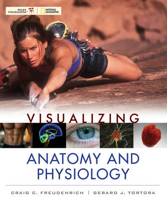 Book cover for Visualizing Anatomy and Physiology 1e + WileyPLUS Registration Card