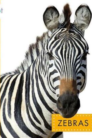 Cover of Zebras