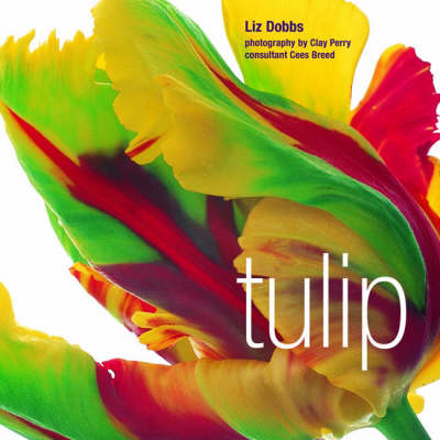 Book cover for Tulip