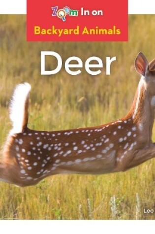 Cover of Deer