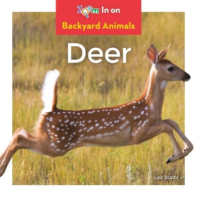 Cover of Deer