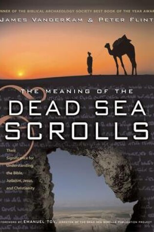 Cover of The Meaning of the Dead Sea Scrolls