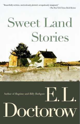 Book cover for Sweet Land Stories