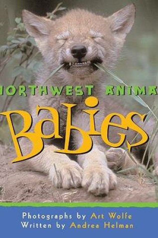 Cover of Northwest Animal Babies