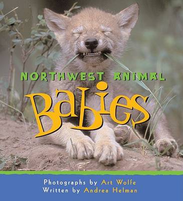 Book cover for Northwest Animal Babies