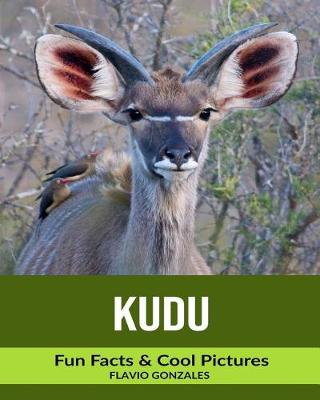 Book cover for kudu
