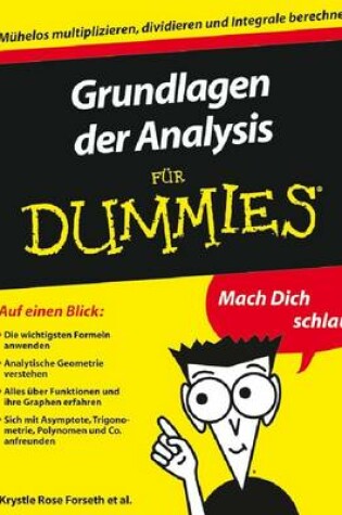 Cover of Grundlagen der Analysis fur Dummies
