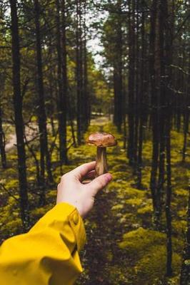 Book cover for Foraging for Mushrooms in the Forest Journal