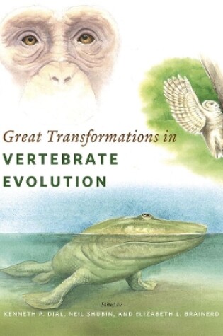 Cover of Great Transformations in Vertebrate Evolution