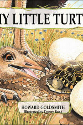 Cover of Shy Little Turtle
