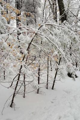 Book cover for Beautiful Winter Photography Journal