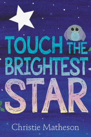 Cover of Touch the Brightest Star