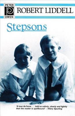 Book cover for Stepsons