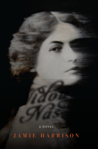 Cover of The Widow Nash