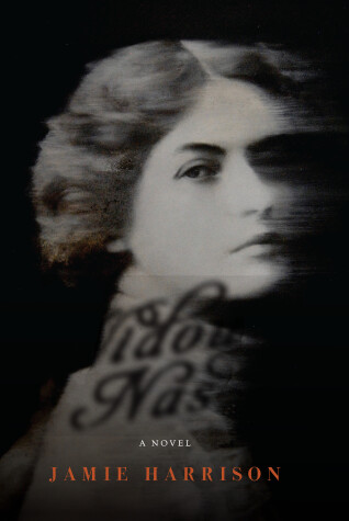 Book cover for The Widow Nash