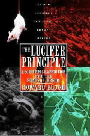 Cover of The Lucifer Principle