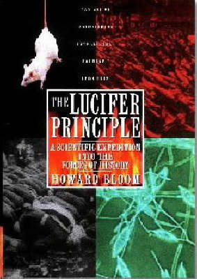 Book cover for The Lucifer Principle