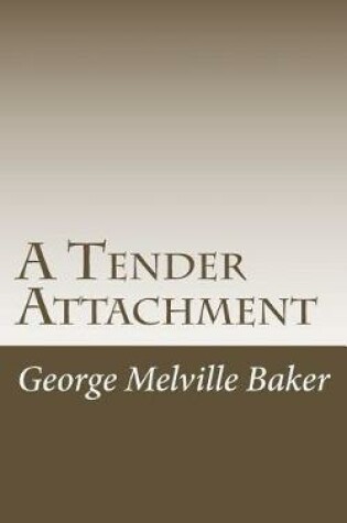 Cover of A Tender Attachment