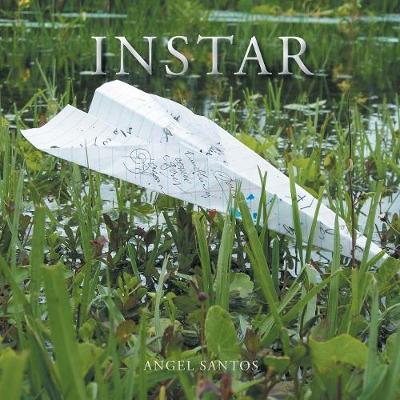 Book cover for Instar