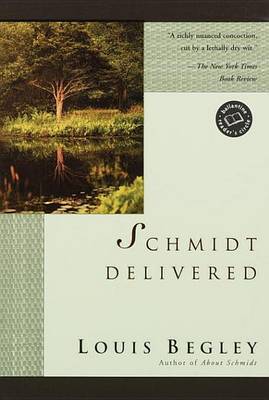 Book cover for Schmidt Delivered