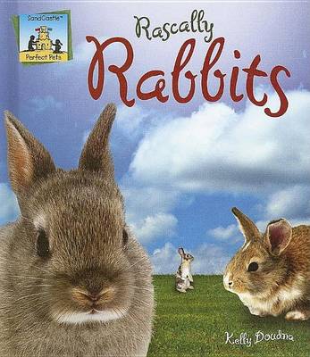 Book cover for Rascally Rabbits