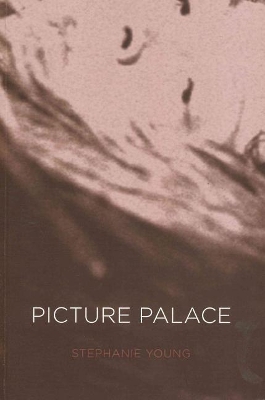 Book cover for Picture Palace