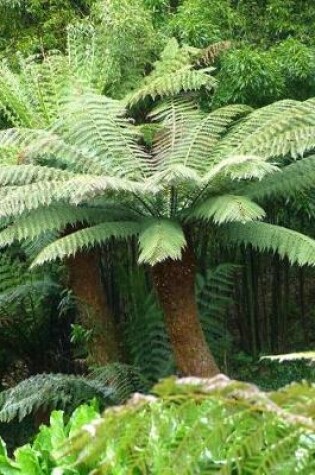 Cover of Tree Fern Notebook