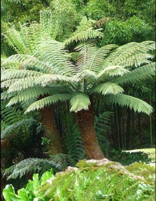 Book cover for Tree Fern Notebook