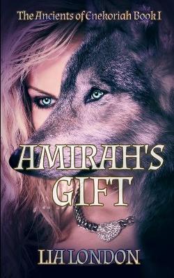 Book cover for Amirah's Gift