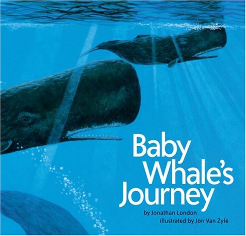 Book cover for Baby Whale's Journey