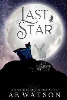 Book cover for The Last Star