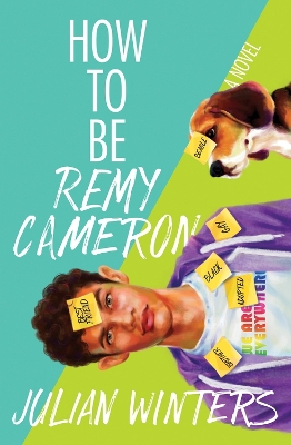 Book cover for How to Be Remy Cameron