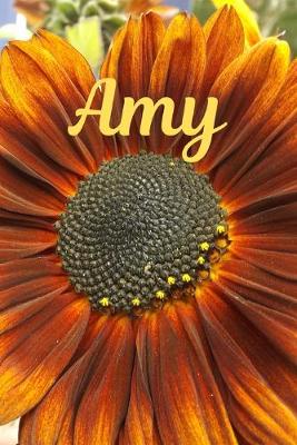 Book cover for Amy
