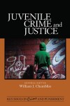 Book cover for Juvenile Crime and Justice