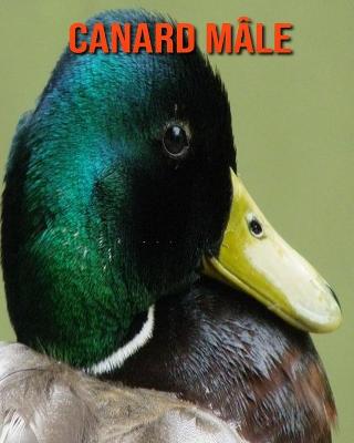 Book cover for Canard Mâle