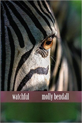 Cover of Watchful