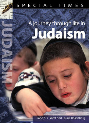 Book cover for Special Times: Judaism